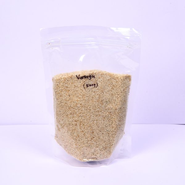 Varagu - Kodo Millet
